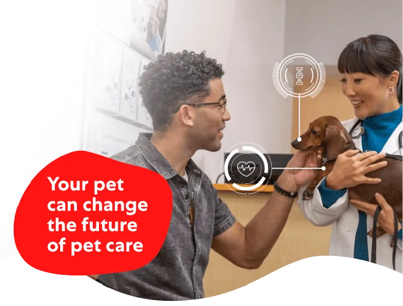Join us in shaping the future of petcare banner image